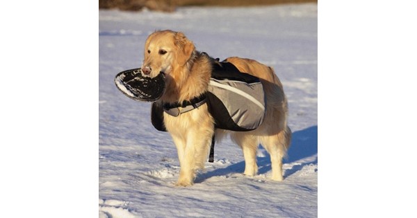 Sierra dog hotsell supply backpack